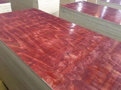 Phenolic Faced Plywood 4